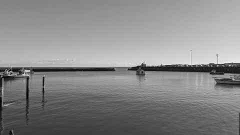 Folkestone Harbour