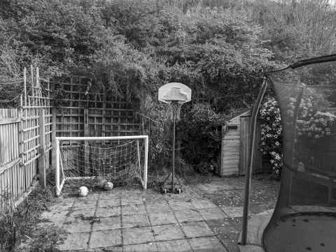 Back garden mid trim, looking a right mess.