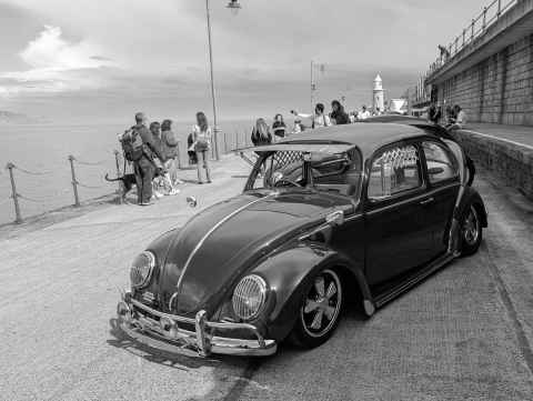 Lovely beetle on Folkestone Harbour Arm