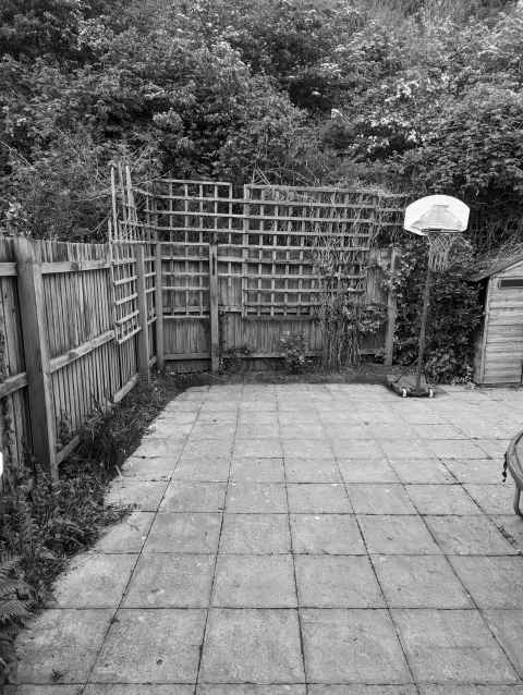 Back garden