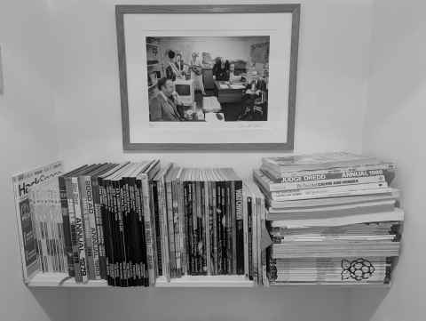 Books and comics in the downstairs loo