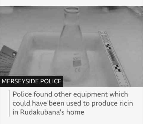 News snippet on BBC about ricin