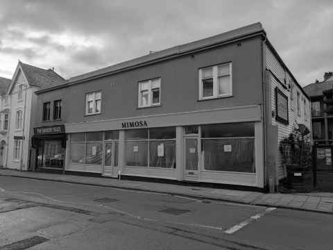 Mimosa, Sandgate