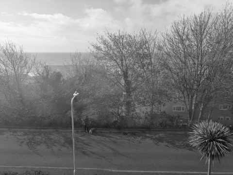 House in front of us in Battery Point is on fire. Lots of smoke obscure my sea view...